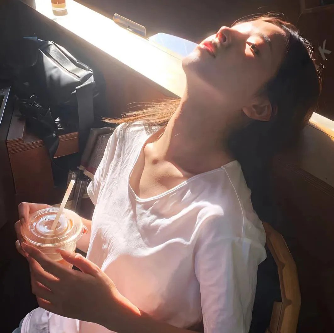 我的宠物是大象