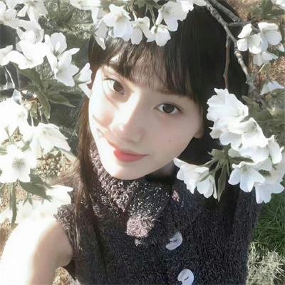 穷友记第四季